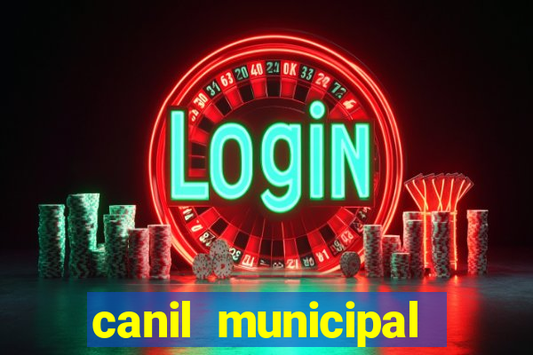 canil municipal porto alegre